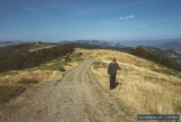 Very friendly shepard and his 'office' in the background