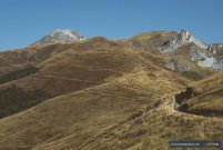 Few more hairpins to go before reaching the top